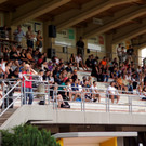 DSC04186_JPG-1340561412