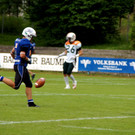 DSC04194_JPG-1340561449