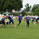 DSC04202_JPG-1340561457