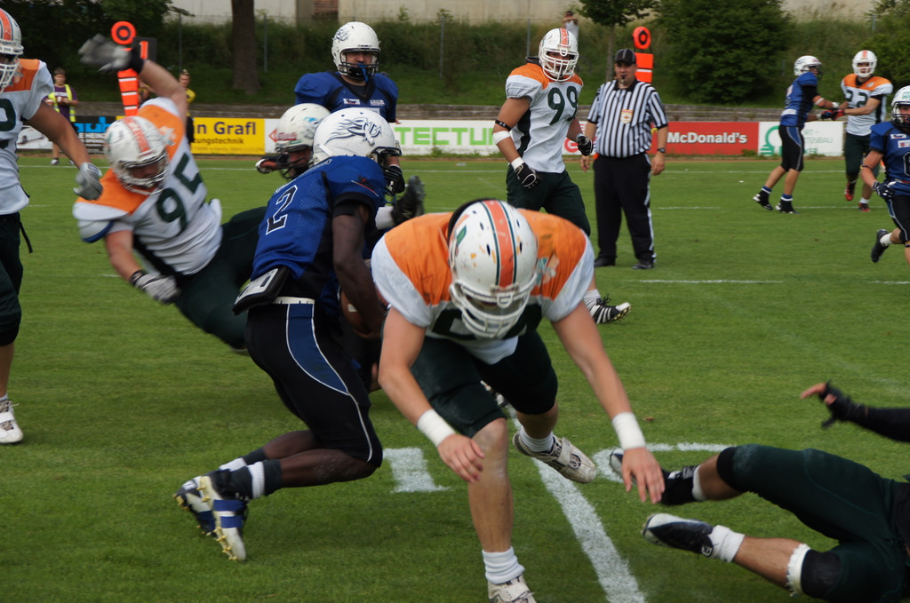 DSC04210_JPG-1340561565