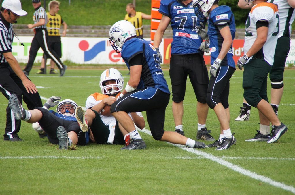 DSC04218_JPG-1340561610