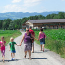 Viele kleine süße Ponys