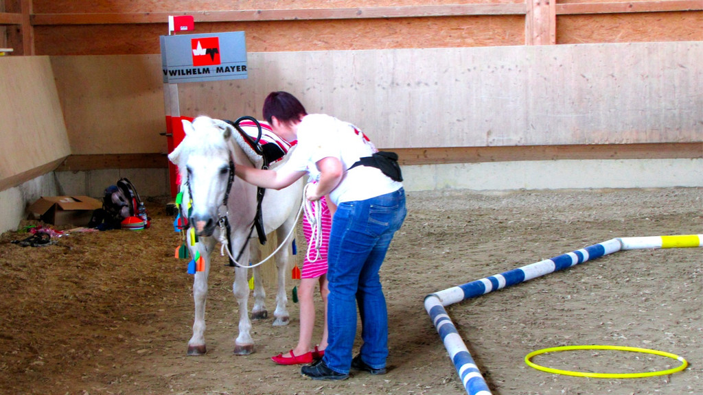 BK_Ponyfest_Koblach 4_jpg-1340568210