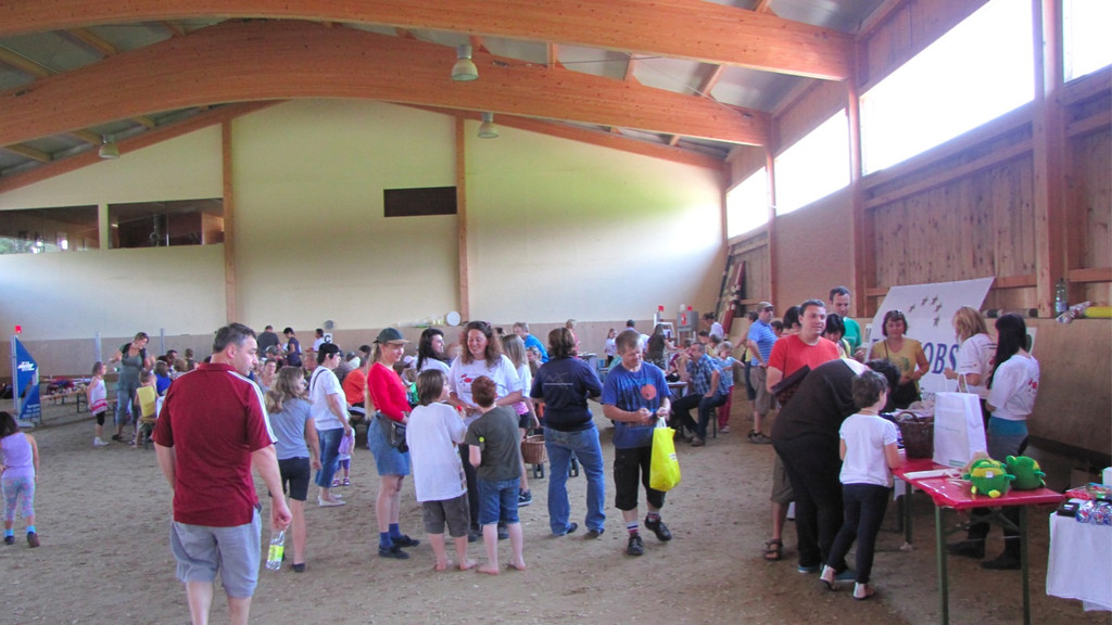 BK_Ponyfest_Koblach 8_jpg-1340568236