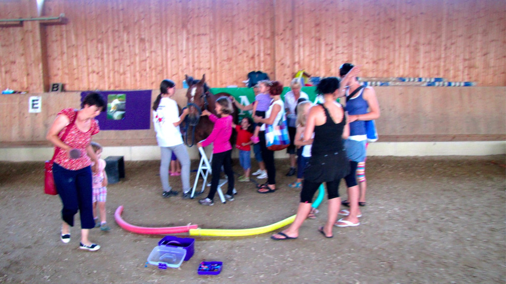 BK_Ponyfest_Koblach 9_jpg-1340568243