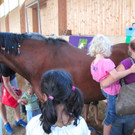 BK_Ponyfest_Koblach 11_jpg-1340568257