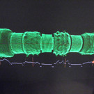 114_7766_JPG-1340578156