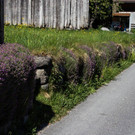 Kopie von 20120511-Au__erwald.jpg