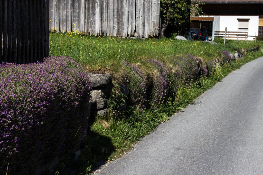 Kopie von 20120511-Au__erwald.jpg
