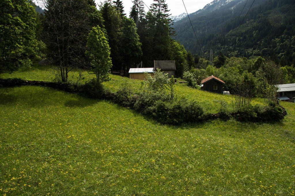 Kopie von 20120602-Au__erwald _4_.jpg