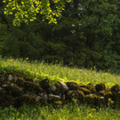 Kopie von 20120602-Au__erwald _5_.jpg