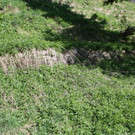 Kopie von IMG_7693.JPG