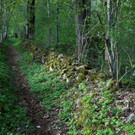 Kopie von Trockenmauern Kopie von 20110501-Dalaas _3_.JPG