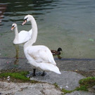 DSC05241.JPG