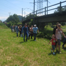 IMG_5948_JPG-1340611509