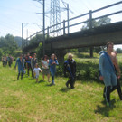 IMG_5950_JPG-1340611539