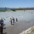 IMG_5969_JPG-1340611597
