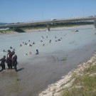 IMG_5971_JPG-1340611602