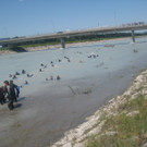 IMG_5972_JPG-1340611604