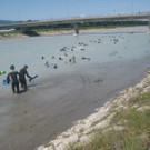 IMG_5974_JPG-1340611607