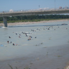 IMG_5975_JPG-1340611609