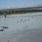IMG_5979_JPG-1340611617
