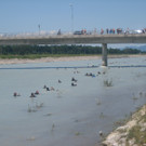 IMG_5983_JPG-1340611625
