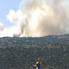 DAB0114-20120624.jpg