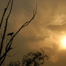 DAB0521-20120625.jpg