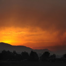 DAB0523-20120625.jpg