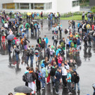 DSCN6038_JPG-1340633459