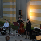 Sommernachtsfest _17__jpg-1340636799