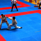 IMGP1093.JPG