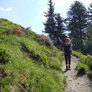 DSC04488_JPG-1340699905