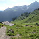 DSC04498_JPG-1340700007