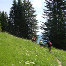DSC04511_JPG-1340700130