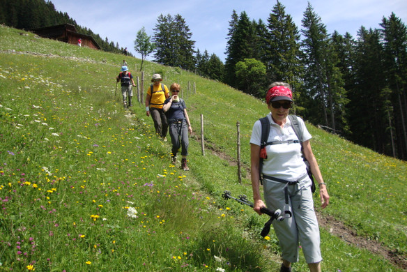 DSC04524_JPG-1340700172
