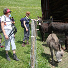 DSC04526_JPG-1340700214