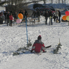 Fassdaubenrennen029.JPG