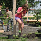 Spielplatz Erlach 26-06-2012 8_jpg-1340722948
