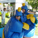 OJAH7Sumo_jpg-1340741717