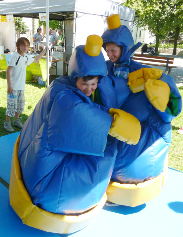 OJAH7Sumo_jpg-1340741717