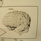 114_7822_JPG-1340742602