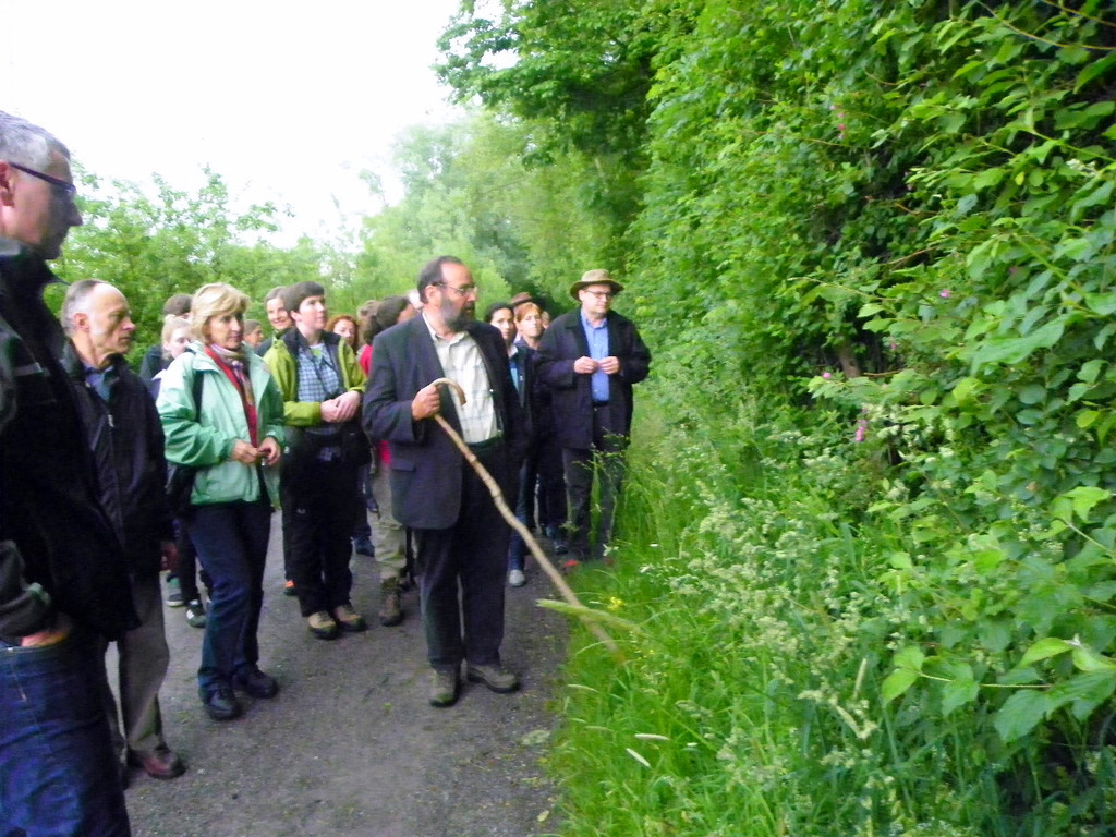 114_9832_JPG-1340745846