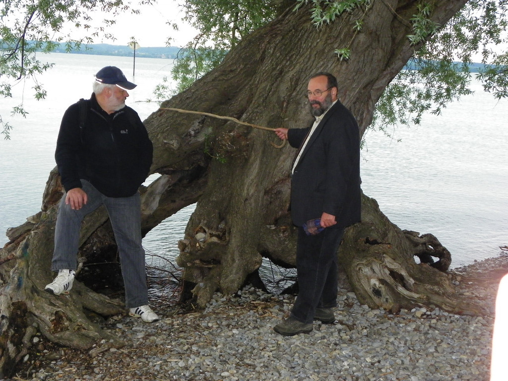 114_9846_JPG-1340745858