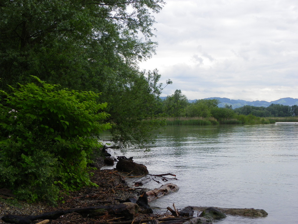 114_9855_JPG-1340745870