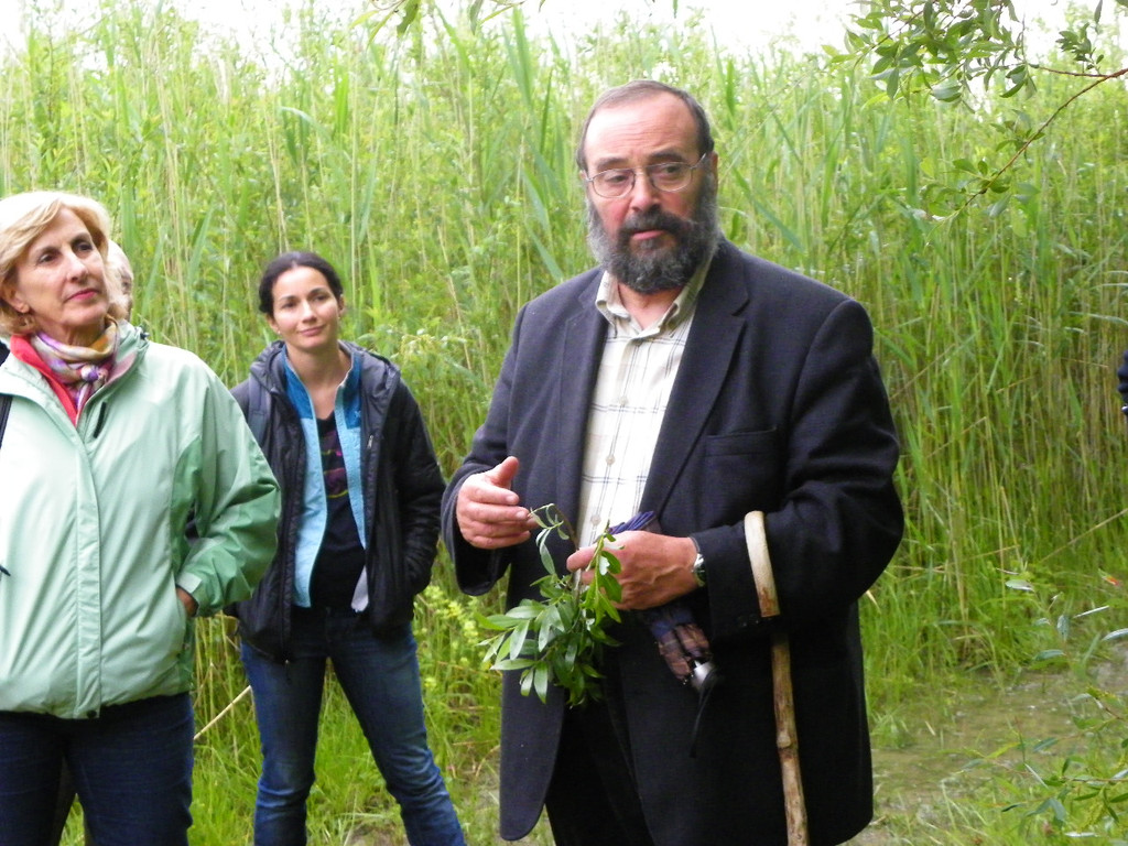 114_9871_JPG-1340745889