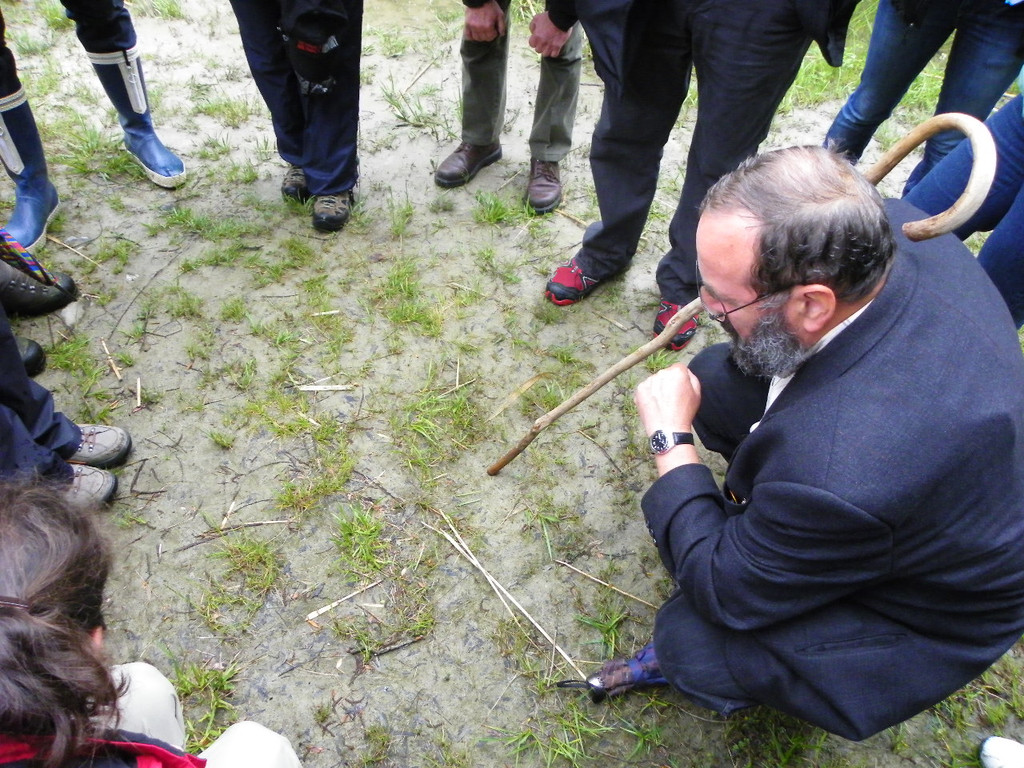 114_9874_JPG-1340745895