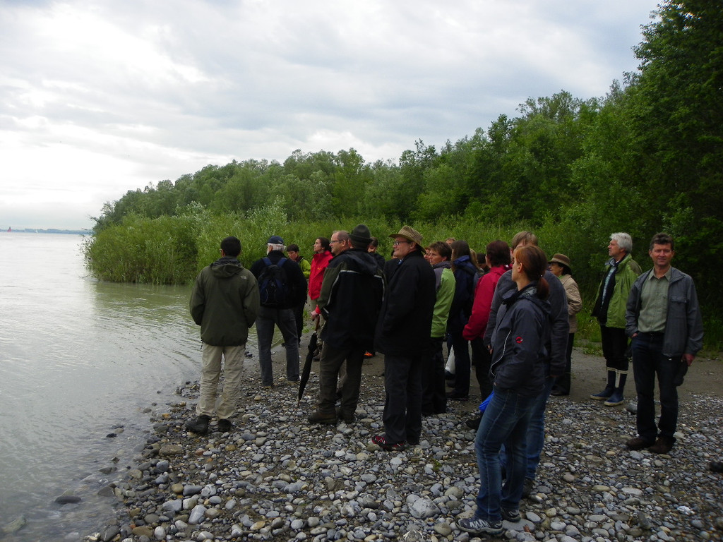 114_9876_JPG-1340745908