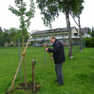 114_9643_JPG-1340746098